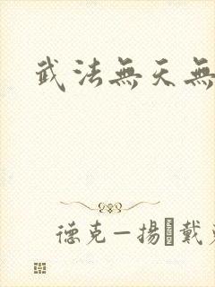 武法无天无弹窗