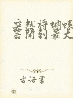 突然将蝴蝶遥控器开到最大