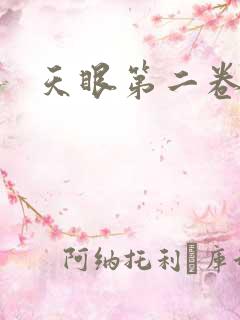 天眼第二卷