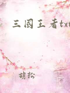 三国王者txt