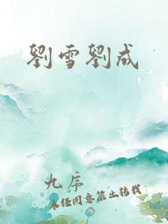 刘雪刘成