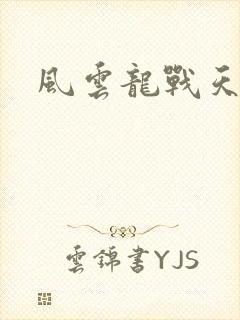 风云龙战天下