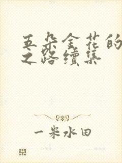 五朵金花的沉沦之路续集