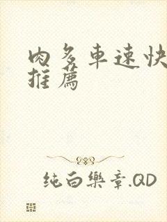 肉多车速快的书推荐