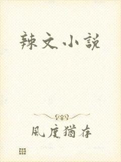 辣文小说