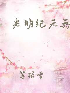 光明纪元无弹窗