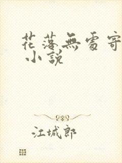 花落无处寄相思 小说