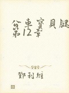公车宝贝腿开点第12章