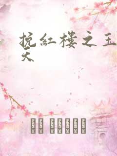 挽红楼之玉舞九天