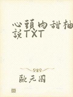 心头肉甜柚子小说TXT