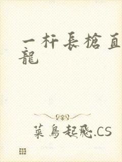 一杆长枪直捣黄龙