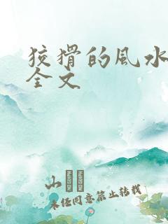 狡猾的风水相师全文