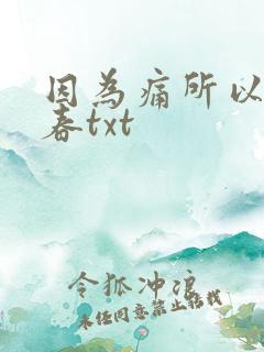 因为痛所以叫青春txt