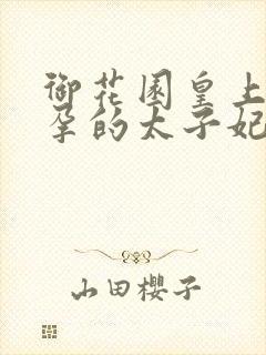 御花园皇上c有孕的太子妃