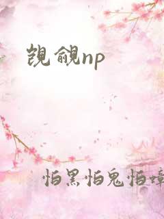 觊觎np