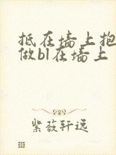 抵在墙上抱起来做bl在墙上