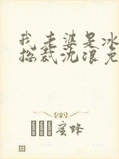 我老婆是冰山女总裁沈浪免费阅读