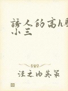 诱人的高h骚当小三