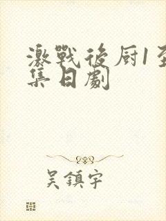 激战后厨1至5集日剧