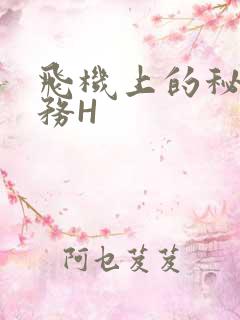 飞机上的秘密服务H