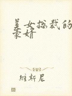 美女总裁的顶级豪婿