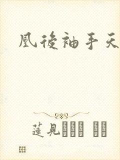 凰后袖手天下