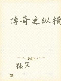 传奇之纵横法师