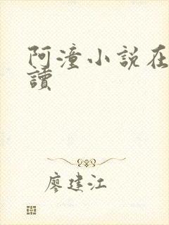 阿潼小说在线阅读