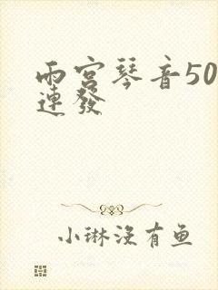 雨宫琴音500连发