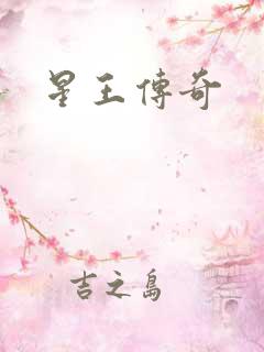 星王传奇