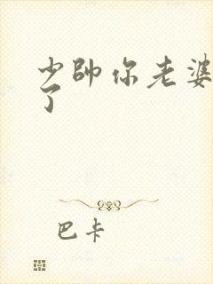 少帅你老婆又跑了