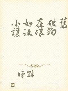 小如在破旧仓库让流浪狗