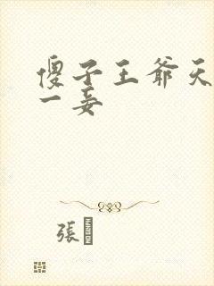 傻子王爷天下第一妾