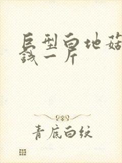 巨型白地菇多少钱一斤