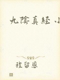 九阴真经 小说