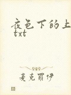 夜色下的上海滩 txt