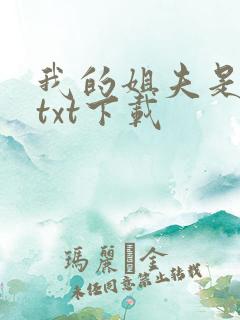 我的姐夫是太子txt下载