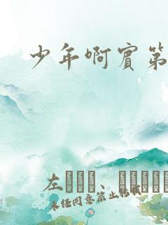 少年啊宾第二部