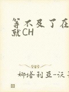 等不及了在车里就CH