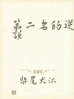 第二名的逆袭小说