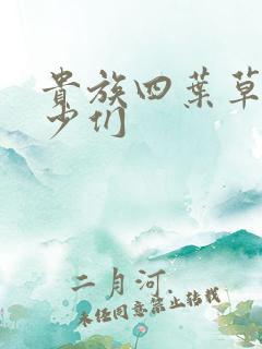 贵族四叶草的恶少们