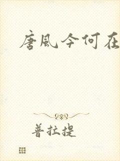 唐风今何在