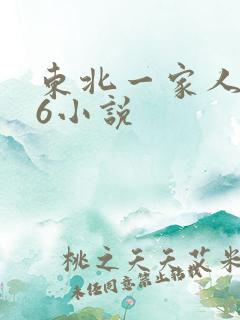 东北一家人1一6小说