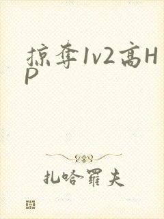掠夺1v2高HP