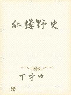 红楼野史