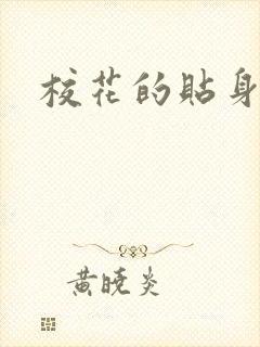 校花的贴身杀手