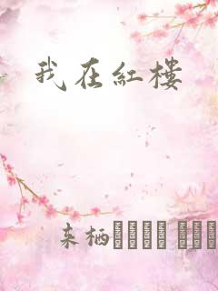 我在红楼