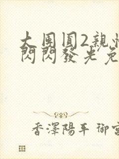 大团圆2亲情会闪闪发光免费