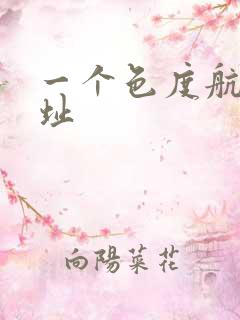 一个色度航导网址