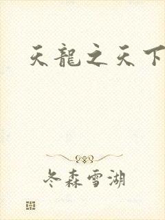 天龙之天下有我